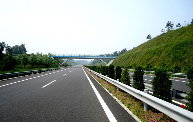杭瑞高速公路陽(yáng)新TBS綠化